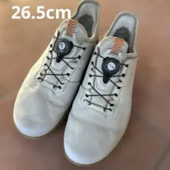 ECCO GORE-TEX ゴルフシューズ BOAシステム　42 中古