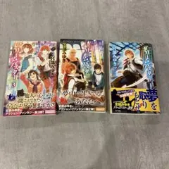 デコイ 囮鳥 迷鳥 最果ての空 3冊セット 英田サキ 奈良千春 BL小説
