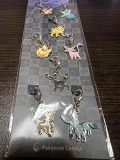 ブイズ　チャーム　ポケセン　未開封