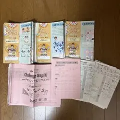 SAPIX3年算数デイリーチャレンジ1年分 サマーウィンター講習セット
