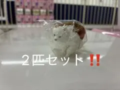 ふんばりーぬ キーホルダー 2匹セット