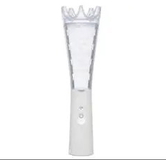 嵐 2026 WE ARE ARASHI ペンライト