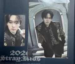 StrayKids スキズ 2026 シーグリ リノ トレカ 他