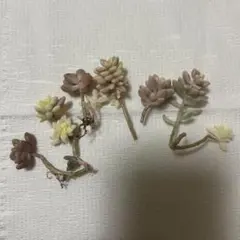 2025年最新】姫秀麗錦の人気アイテム - メルカリ