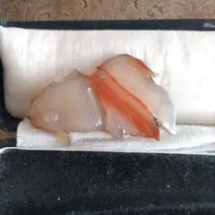 Item thumbnail for item 2e2710b8-52b1-4eb1-aff8-c663aa87c544