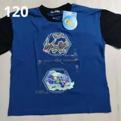 新品　120cm　ポケモンTシャツ　黒いレックウザ　テラパゴス 半袖のサムネイル
