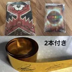 EXILE THE REASON アプグレグッズ　フラッグなし　金テープ2本付