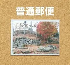 へんろころがし様 リクエスト 2点 まとめ商品