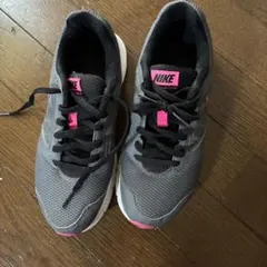 Nike ランニングシューズ グレー/ピンク
