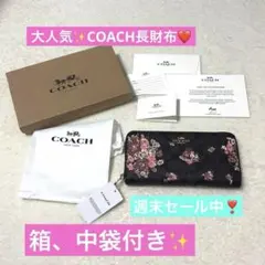 Item thumbnail for item 66f9a762-8ec1-47d6-9910-04bb2a1eed65