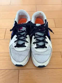 Nike Air Max スニーカー ホワイト/ネイビー