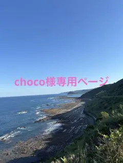 choco様　専用ページ♫