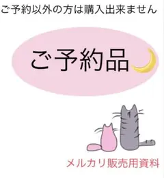 2026年最新】バスガイド資料の人気アイテム - メルカリ