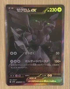 2025年最新】ゼクロムBWRの人気アイテム - メルカリ