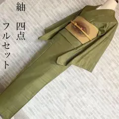 小紋 フルセット 166.5 グラデーション 洗える着物 有栖川紋様（帯 