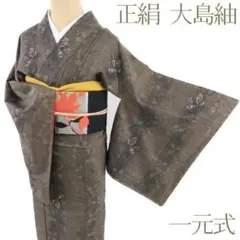 大島紬　袷　菊柄　証紙付き　ベージュ系 着物,紬,大島紬 - 忠右衛門 リサイクル着物専門店