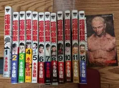 喧嘩稼業 12巻まで+別巻 初版 一巻以外帯つき (説明文必ず見てください)