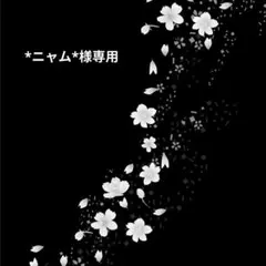 *ニャム*様専用