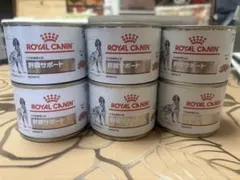 Royal Canin 消化器サポート 360g 1缶100g 9缶セット - メルカリ