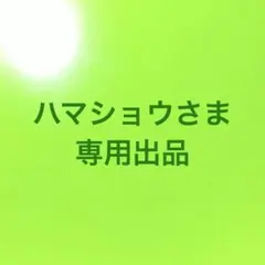 ハマショウさま専用出品