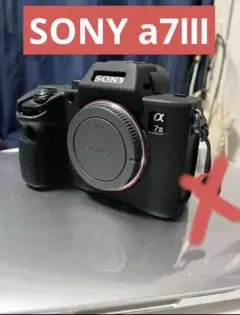 美品 ソニー　SONY α7 III ILCE-7M3 ボディ 箱付き 1374 ソニー(SONY) α7 III ボディ ILCE-7M3 フルサイズ ミラーレス一眼