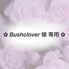 ︎✿ Bushclover 様専用ページ ︎✿