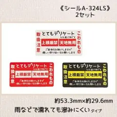 《シールA-324LS》ケアシール 60片×2セット