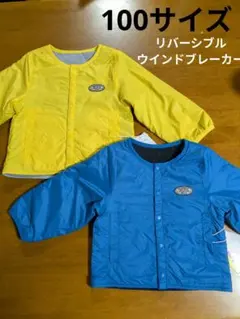 Item thumbnail for item 1ce3d63c-8756-463b-81c1-102197aaecda