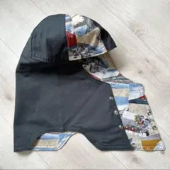 Item thumbnail for item 619fa311-496b-4c07-a765-2e05097e5d92