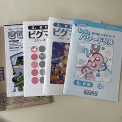 SAPIX ピグマわくわくパワードリル 小学3年 算数 国語 1月-3月 - メルカリ
