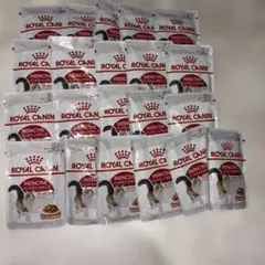 Item thumbnail for item d606b3d9-e2f5-44d7-8f81-2db755f3e2d9