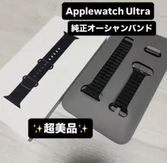 ☆極美品 Apple Watch ultra ブラックオーシャンバンド 49mm