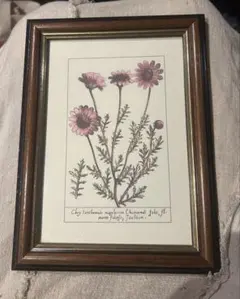 2026年最新】アンティークボタニカルアートの人気アイテム - メルカリ