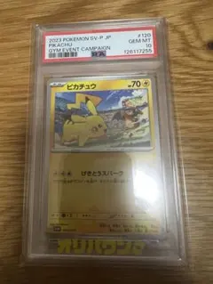 2022 帽子ピカチュウ ポケモンGO プロモ 028/071 - メルカリ