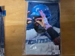 北海道日本ハムファイターズ　レイエス語録タオル 「ミテ！ファイターズ」