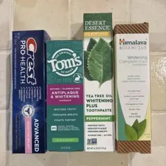 치약 ✨ 톰스 오브 메인크레스트 프로 헬스 디저트 에센스 히말라야