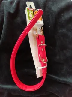 ペティオ　BLハーティ平首輪21レッド　小型犬用　W56844　21✕417のサムネイル