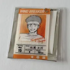 柘浦大河 WIND BREAKER プロフィール カード キーホルダー