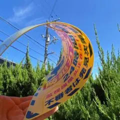 Item thumbnail for item e9706c42-60a3-493e-9254-b3dac0298c75