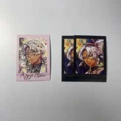 ミヤジ　あくねこ　ぱしゃこれ