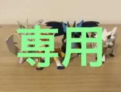 専用