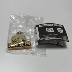 miniteen ドギョム めじるしアクセサリー ドア