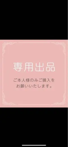 エイキュー（プロフ必読）様専用出品