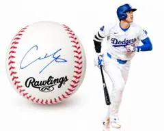 2026年最新】大谷翔平直筆サインボールの人気アイテム - メルカリ