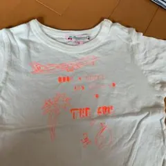 Item thumbnail for item 56a86778-0718-4cbc-9028-3f00866d65a4