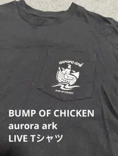 BUMP OF CHICKEN aurora ark Pocket TEE - メルカリ
