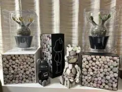 おまけ付セット ボタナイズ メディコムトイ フィギュアbotanizeクレベリン おまけ付セット ボタナイズ メディコムトイ フィギュアbotanize