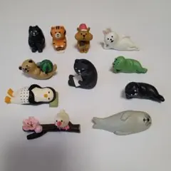 コンコンブル　デコレ　11個セット