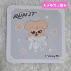 Straykids スキズ RUNIT 空中庭園 パピム