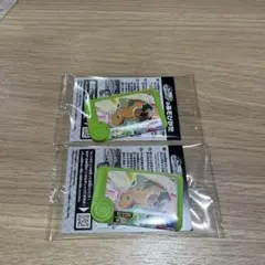 ポケモンフレンダ 2枚セット　スペシャルカイリュー